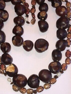 Buckeye Chestnut Castor Beans Boho Chunky Retro Necklaces